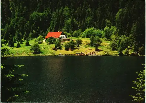 Ansichtskarte Bayerisch Eisenstein Speiselokal kleiner Abersee 1979