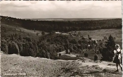 .Niedersachsen Lüneburger Heide Panorama Blick eines Mädchen 1960
