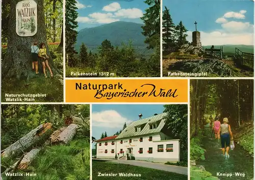 Ansichtskarte Zwiesel Naturpark-Bayerischer-Wald Mehrbild-AK div. Orte 1976
