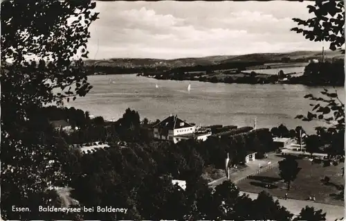 Ansichtskarte Bredeney-Essen (Ruhr) Panorama-Ansicht Baldeneysee 1953