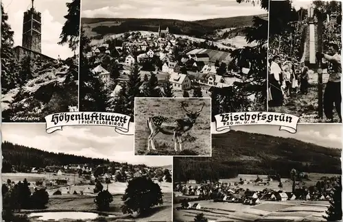 Ansichtskarte Bischofsgrün Mehrbild-AK Umland-Ansichten Fichtelgebirge 1964
