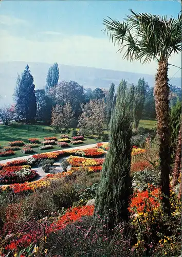 Konstanz Blick von der Mediterranterrasse auf den Südgarten 1982