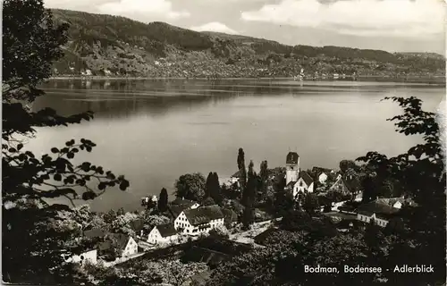 Ludwigshafen (Bodensee)-Bodman-Ludwigshafen Adlerblick Panorama-Ansicht 1960