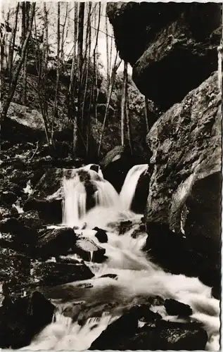 Zwingenberg (Bergstraße) Partie in der Wolfsschlucht Umland-Ansicht 1960