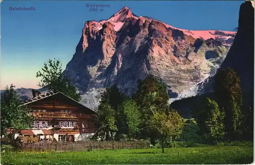Ansichtskarte Grindelwald Haus und Wetterhorn 1913
