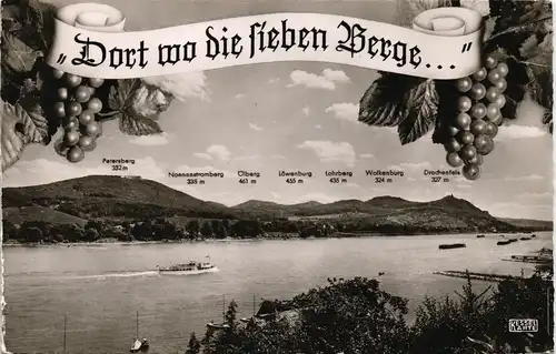 Königswinter Siebengebirge, Weintrauben "Dort wo die sieben Berge" 1970