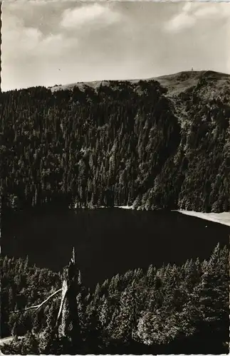 Feldberg (Schwarzwald) Feldberg (Schwarzwald) Feldsee und Seebuck 1960