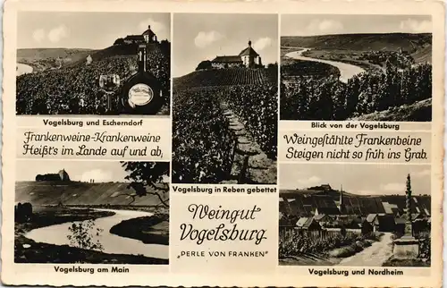 Volkach Mehrbild-AK Vogelsburg, Weingut, Escherndorf, Weinberge uvm. 1950