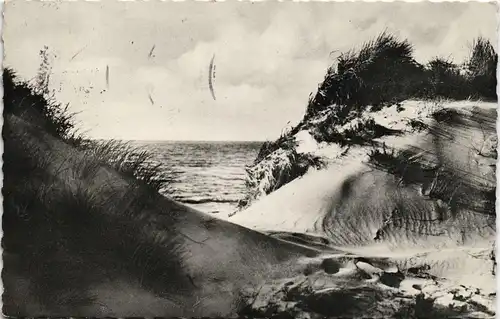 Ansichtskarte Norderney Strand Dünen Landschaft Nordsee 1961