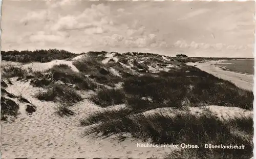 Dierhagen Neuhaus-Dierhagen Neuhaus an der Ostsee Dünenlandschaft 1966