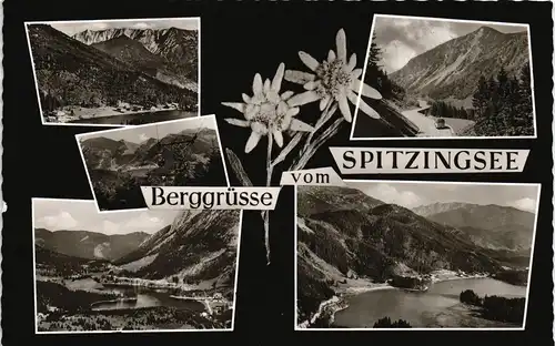 Spitzingsee-Schliersee Mehrbild-AK "Berggrüsse" mit Umlandansichten 1960