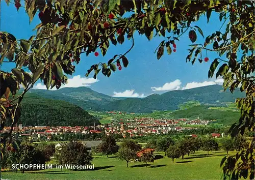 Ansichtskarte Schopfheim Panorama-Ansicht, Wiesental, südl. Schwarzwald 1980