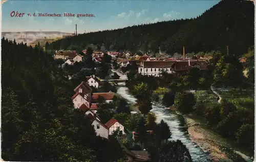 Ansichtskarte Oker-Goslar Ortspanorama von der Halleschen Höhe gesehen 1922