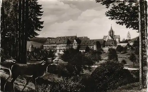 Ansichtskarte Bebenhausen-Tübingen Partie am ehemaligen Jagdschloss 1960