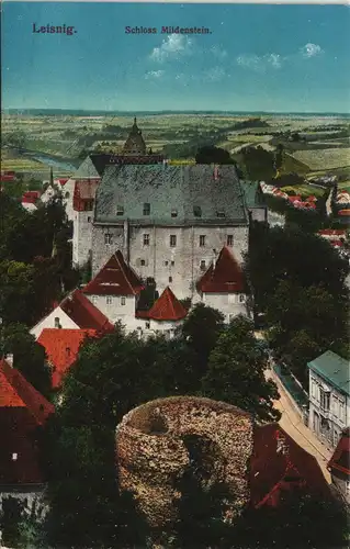 Ansichtskarte Leisnig Blick über das Schoß 1913