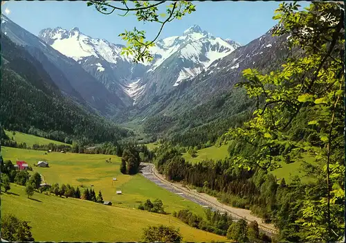 Spielmannsau-Oberstdorf (Allgäu) Spielmannsauertal  Kratzer 2424 m Berg  1975