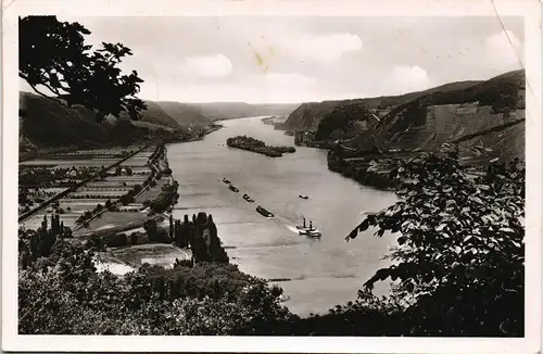 Ansichtskarte Andernach Panorama Rhein mit Schiffen 1954