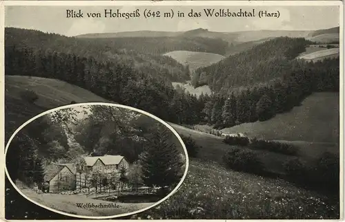 Ansichtskarte Hohegeiß-Braunlage Wolfbachmühle 1928