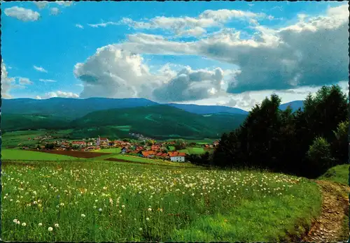 Lam (Oberpfalz) Bayer. Wald Panorama-Ansicht Dorf Fernansicht 1975