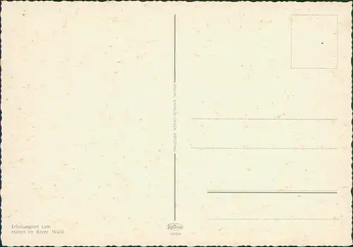 Lam (Oberpfalz) Bayer. Wald Panorama-Ansicht Dorf Fernansicht 1975