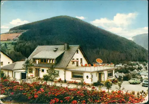 Willingen (Upland) Hotel Pension Restaurant DÜSSELDORFER HOF H. Beuteführ 1965