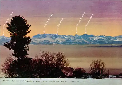 Höchenschwand Blick auf die Schweizer Alpenkette Panorama-Ansicht 1960