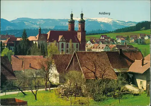 St. Peter Hochschwarzwald  Panorama Blick zum Feldberg Schwarzwald 1978
