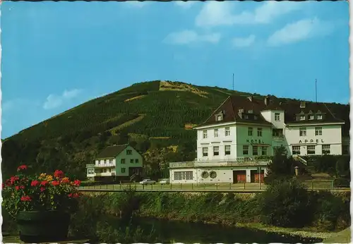 Ansichtskarte Rech (Ahrtal) Haus Appel, Hotel und Weingut 1963