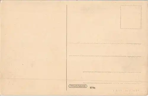 Hirschhorn (Neckar) Panorama-Ansicht, Wohnhäuser entlang der Bahnlinie 1920