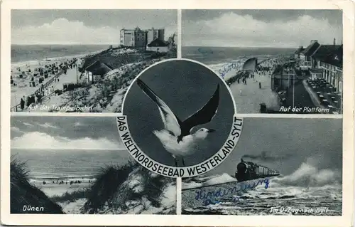 Westerland-Sylt Mehrbildkarte mit Möwe und 4 Ortsansichten 1956