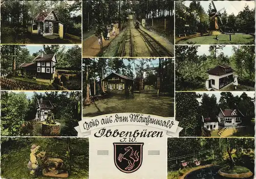 Ansichtskarte Ibbenbüren Mehrbildkarte Wald Partien 1960