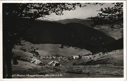 Ansichtskarte Muggenbrunn-Todtnau Panorama-Ansicht Muggenbrunn Kurort 1939