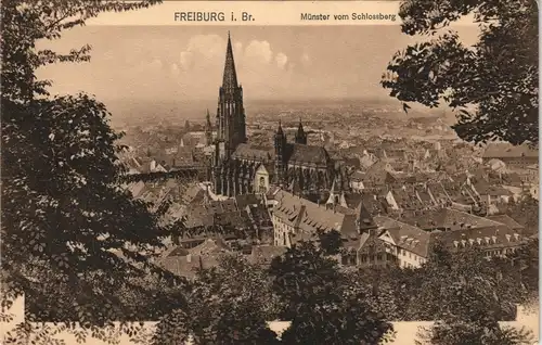 Ansichtskarte Freiburg im Breisgau Münster vom Schlossberg 1906