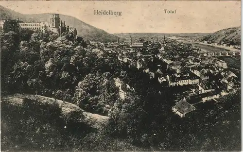 Ansichtskarte Heidelberg Totale 1909