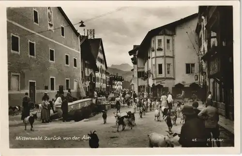 Mittenwald Zurück von der Alm, Almabtrieb, Ziegen, Strassen Ansicht 1930