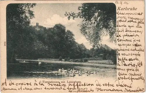 Ansichtskarte Karlsruhe Partie am Tiergartensee mit Lauterberg 1902