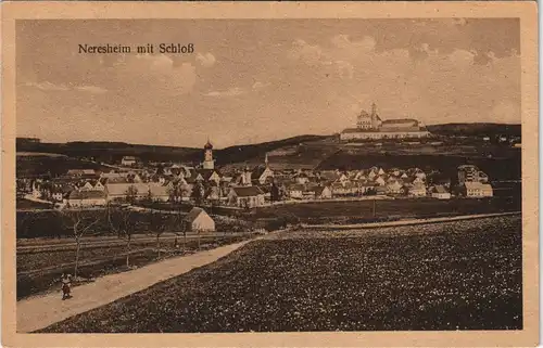 Ansichtskarte Neresheim Panorama-Ansicht Blick zum Schloß 1920