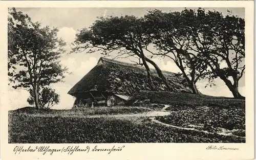 Ansichtskarte .Niedersachsen Friesland Bauernhaus 1934