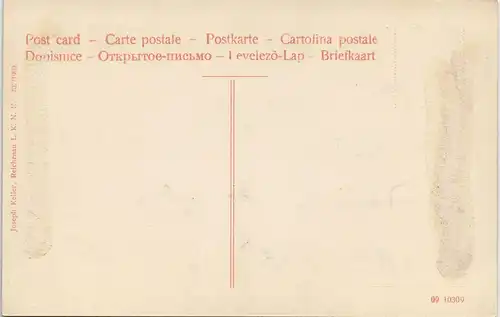 Ansichtskarte Insel Reichenau Münster - Garten 1909