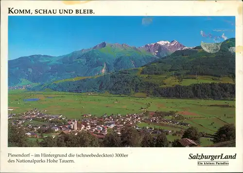 Ansichtskarte Piesendorf im Oberpinzgau Panorama 1995