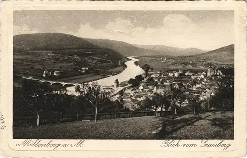 Ansichtskarte Miltenberg (Main) Blick vom Grauberg 1927