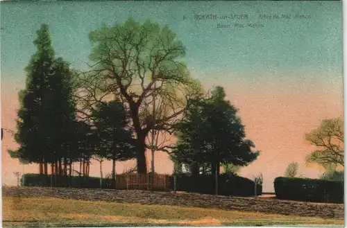 CPA Wörth an der Sauer Wœrth Arbe de Mac Mahan 1919
