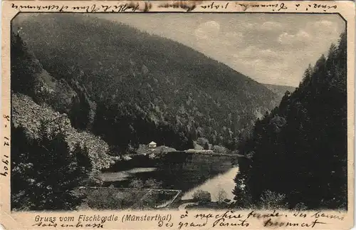 Münster (Elsass) Munster (Haut-Rhin) Gruss vom Fischboedle (Münsterthal) 1904