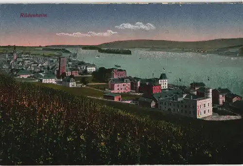 Ansichtskarte Rüdesheim (Rhein) Panorama-Ansicht Blick zum Rhein 1910