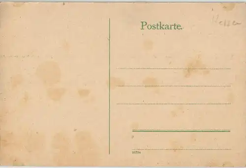 Ansichtskarte Rüdesheim (Rhein) Panorama-Ansicht Blick zum Rhein 1910