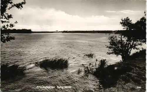 Ansichtskarte Thülsfelder Talsperre Thülsfelder Talsperre 1962