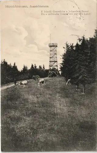 Ansichtskarte Malsburg-Marzell Hochblauen (Badenweiler), Turm und Kühe 1909