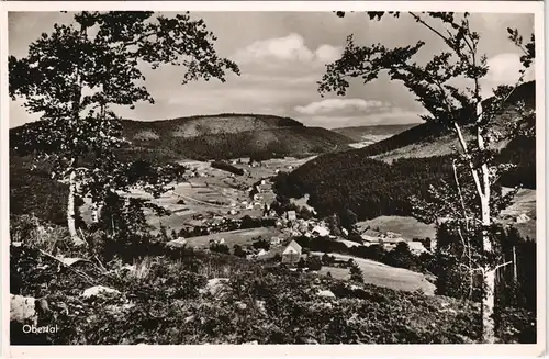 Ansichtskarte Obertal-Buhlbach-Baiersbronn Panorama-Ansicht 1956