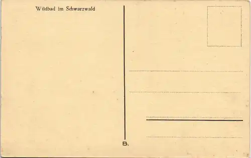 Ansichtskarte Bad Wildbad Stadtpartie 1926