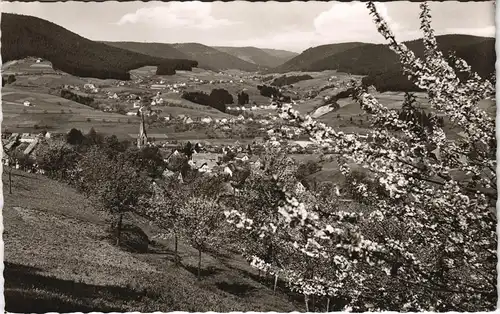 Ansichtskarte Baiersbronn Panorama-Ansicht Ort im Schwarzwald 1958
